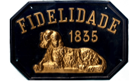 Fidelidade Hist ria Do Seguro fidelidade-hist-ria-do-seguro